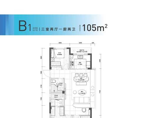 建筑面积约105㎡B1户型