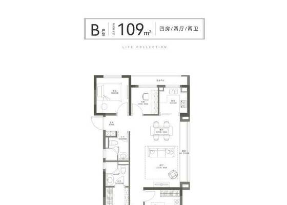 B户型109方