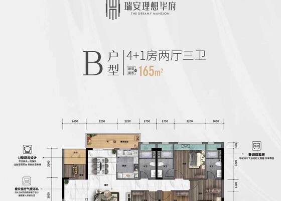 B户型