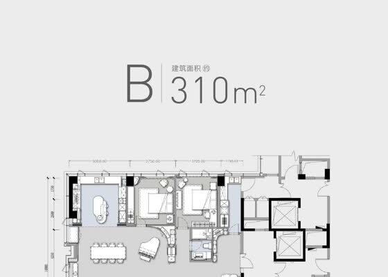 建筑面积为310㎡B户型