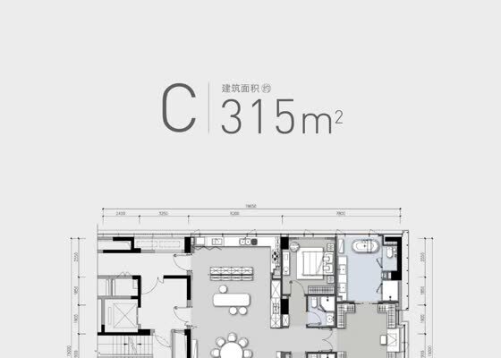 建筑面积为315㎡C户型