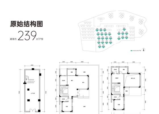 建面约239㎡户型