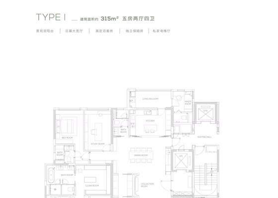 TYPE I