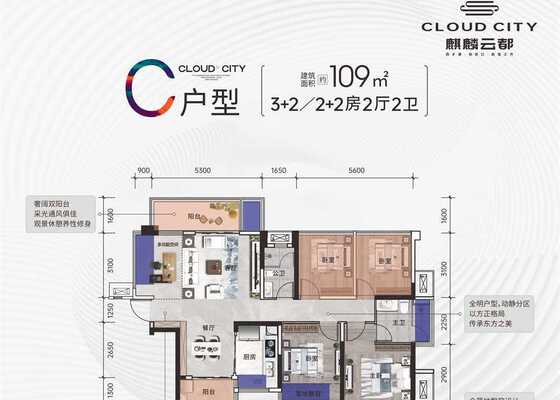 C户型109㎡
