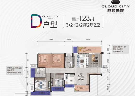 D户型，123㎡ 5房2厅2卫