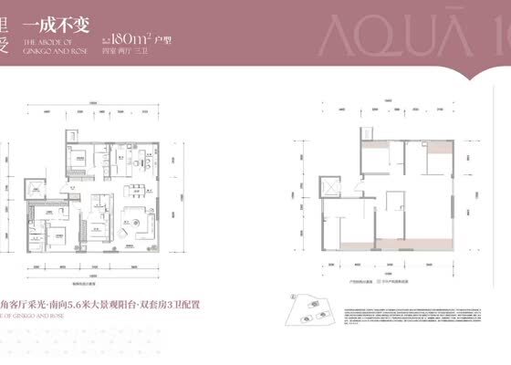 180㎡户型