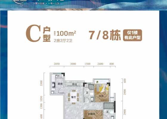C户型 约100㎡