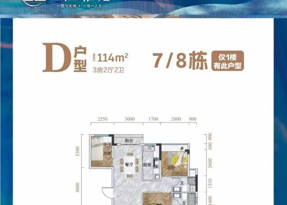 D户型 约114㎡
