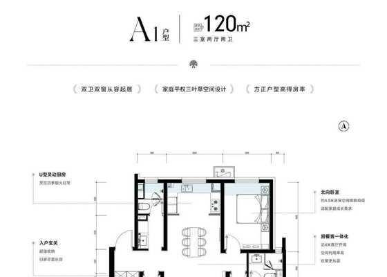 A1户型120㎡