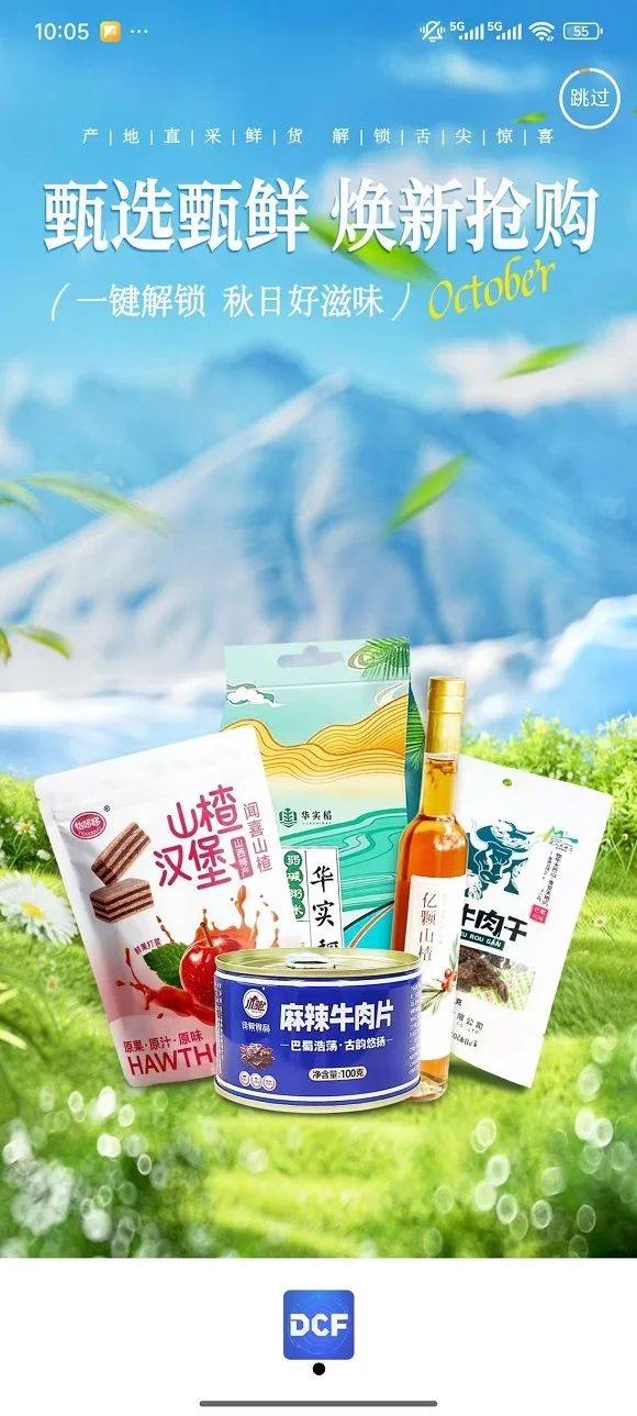 DCF AI智能商城：打造可靠合规的数字消费新平台插图2