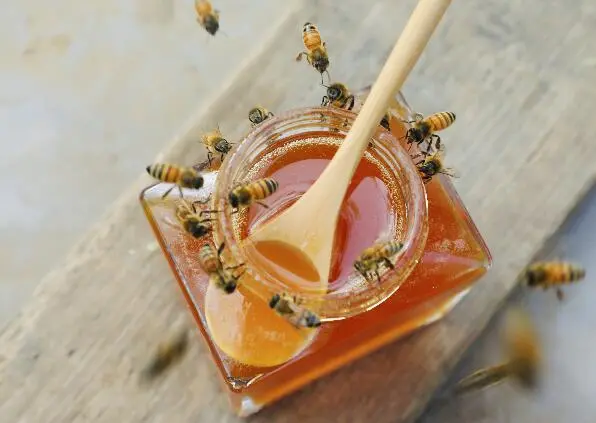 长期喝蜂蜜会得糖尿病吗可以长期喝蜂蜜吗(图3)