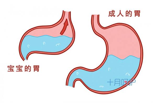 你们恐怕都不知道,新生儿虽然刚出生,但可能是最神秘的,他们身上藏着无数的秘密。 菌菌特意总结了这60条新生儿的健康秘密,有些看着吓人,有些听着惊悚,但都是正常的,趁着还没跟宝宝见面,先把他从里到外了解清楚吧。 1、所有婴儿生下来都是扁平足,有足弓的话反而可能有问题。 2、宝宝天生是罗圈腿,脚也向内蜷曲,因为妈妈子宫太挤了。 3、说穿纸尿裤导致O型腿的,都是为了让你用尿布而耍的流氓! 4、不能给宝宝绑腿,可能会造成软组织损伤和髋关节脱臼。 5、新生儿没有膝盖骨,膝盖骨的位置是由软骨连接的,3岁后才开始骨化
