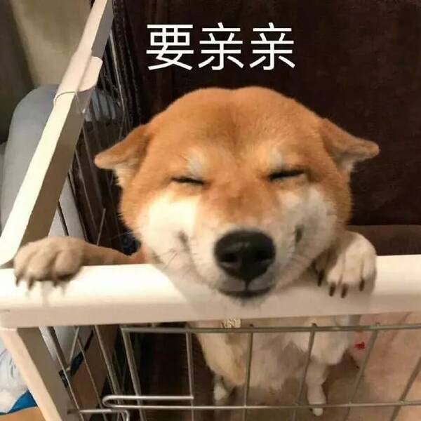 一波超搞笑的沙雕表情包哈哈哈哈