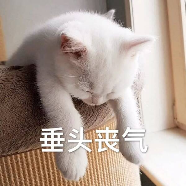 斗图表情包:开黑吗?我电竞少女