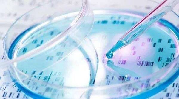 试管婴儿保险 人寿有试管婴儿险?