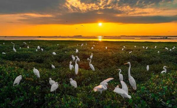 【迎广西60周年大庆】大制作!今天10点广西卫