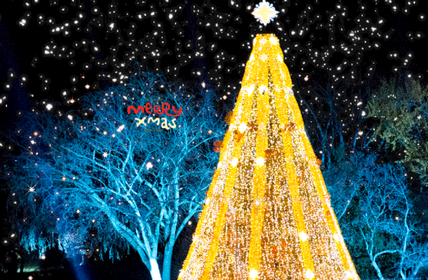 唯美彩色动态图片大全图片 唯美创意动态壁纸