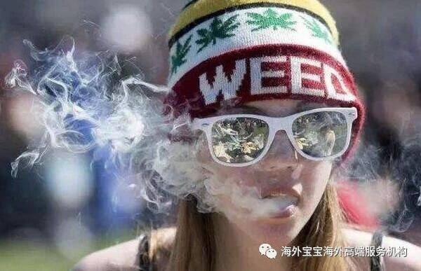 加拿大新法规12月正式生效!堪称史上最严格!