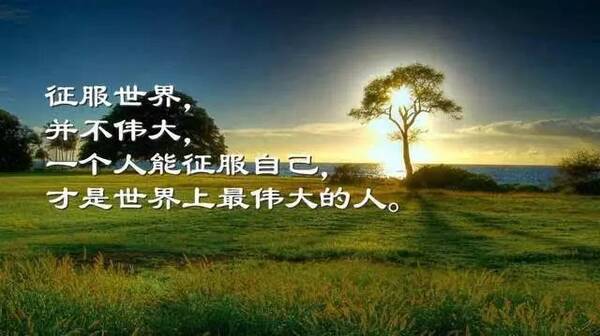 触动心灵的早安励志语录,经典有深度!