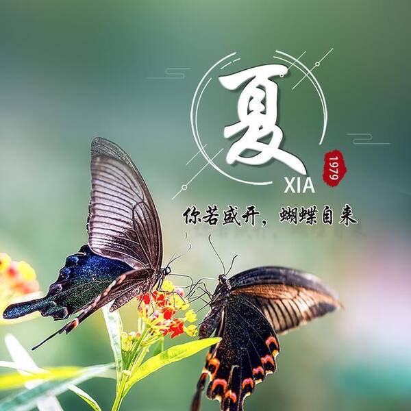 15款蝶恋花唯美签名头像,可当头像壁纸,等你带走