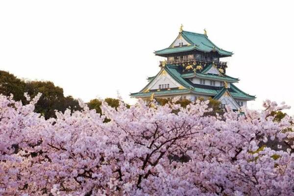 2019年3月樱花,京都大阪之旅:与新时代建筑面