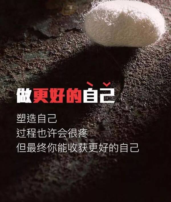 朋友圈简短霸气的励志话语