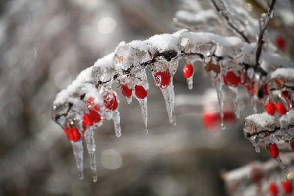 梦到下雨还有冰雹_下雨下雪下冰雹_桌面飘落下雪下雨