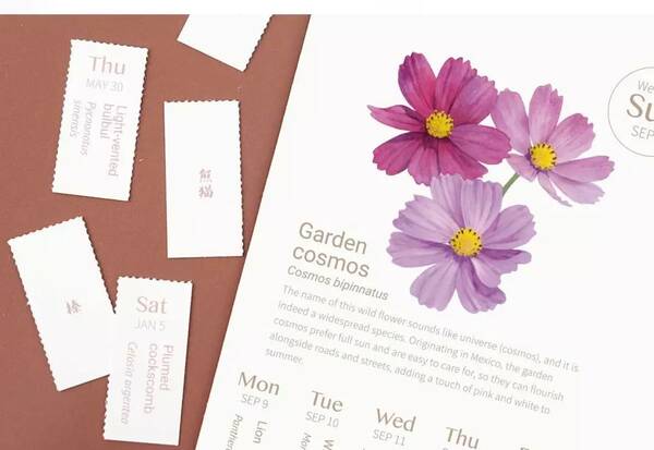 只剩20天,拿什么开启新的一年? | 好物推荐