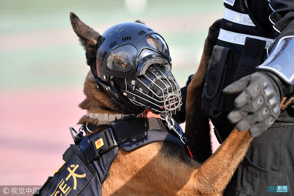 第五届全国警犬技术比赛在京举行