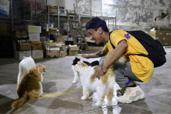 硕果累累,矢志创新 | 2018年新闻学院学生会工作总结