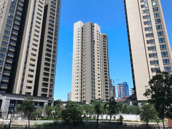 深圳坪山2707套公租房将配租!最全申请攻略看