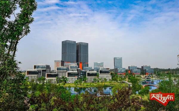 国内首次! 新区这家民营企业研制的整机航电系