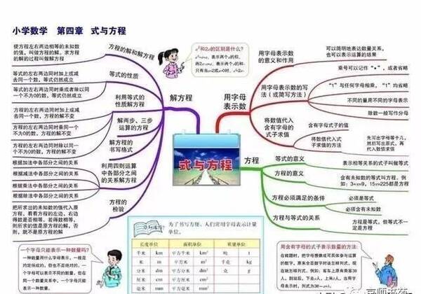 六年级思维导图