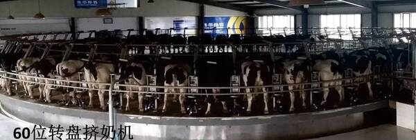 瑞田现代农业:政府减税降负