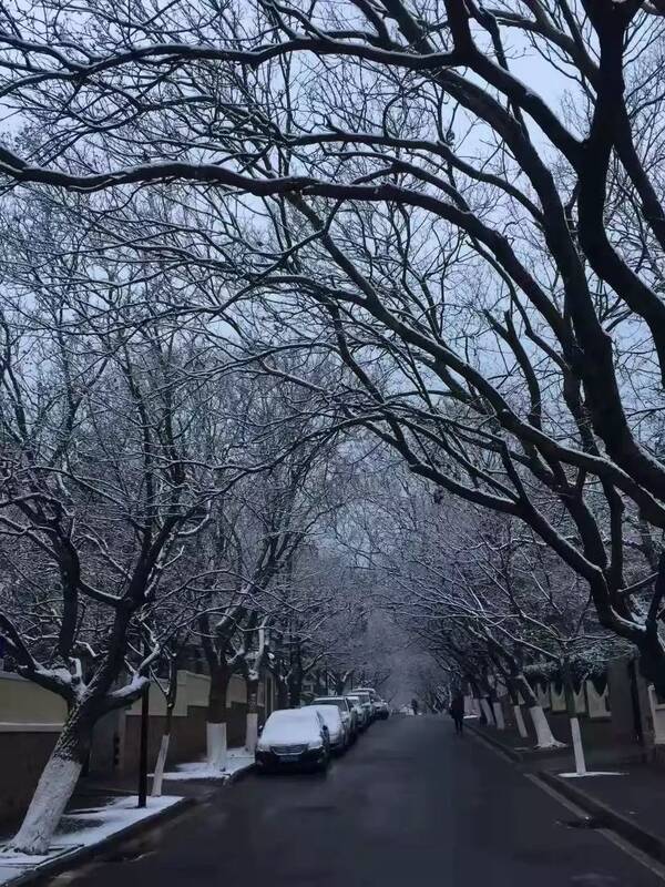 青岛最新雪景图来了,美得不像话!