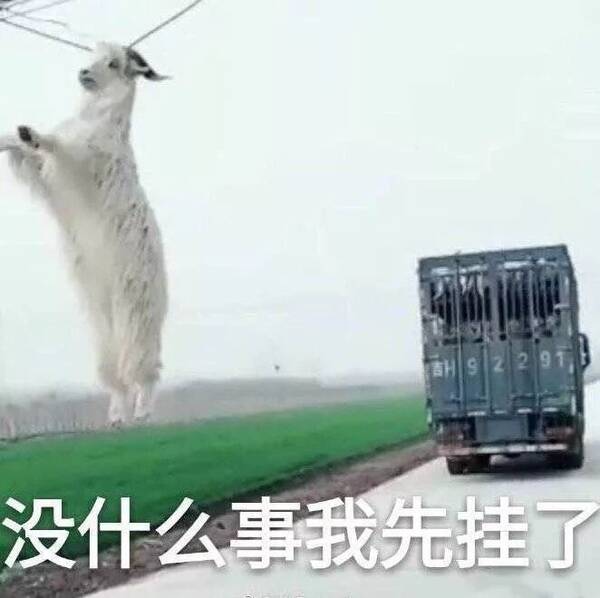 斗图表情包:开黑吗?我电竞少女