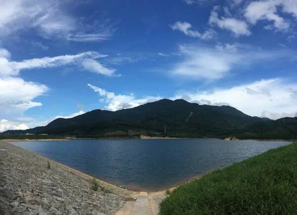 世界品牌500强放榜,南方电网排名上升!