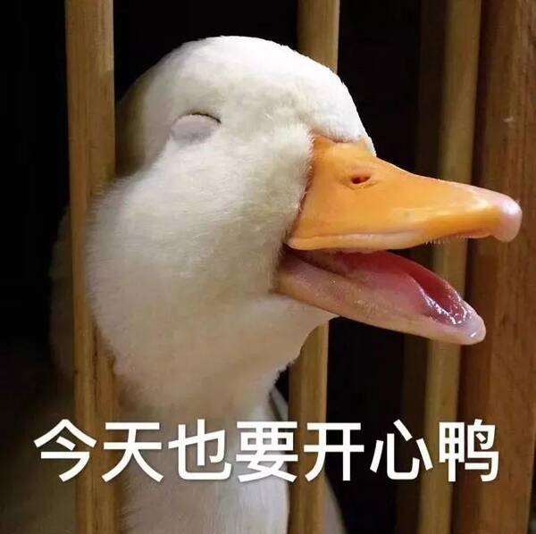 既然有丧到怀疑人生系列,当然也有元气满满的加油鸭系列!