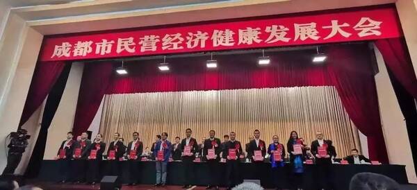 国内首次! 新区这家民营企业研制的整机航电系