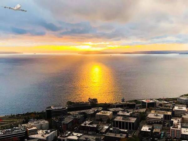 第一批一年10科ACCA的95后!