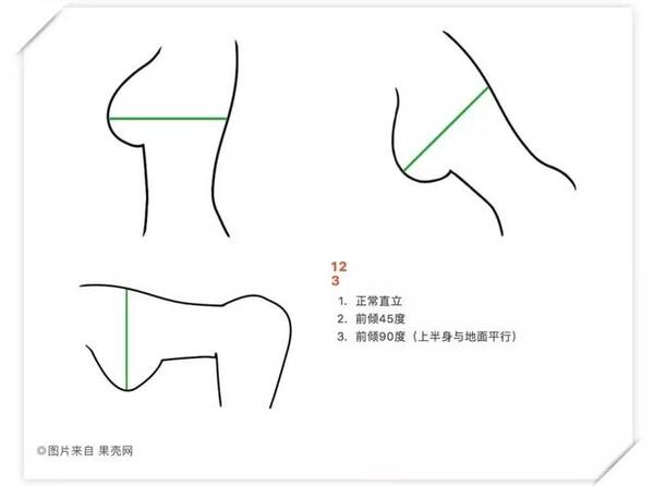 如何测量胸围选择内衣_如何测量胸围