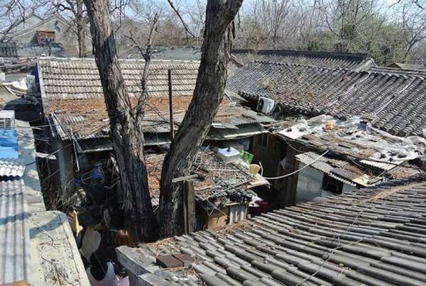 一个日本建筑师来中国改造老房子,胡同里的大