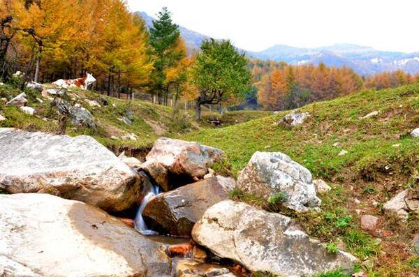 山西由原来两个县合并而成的县有5个,看看有没