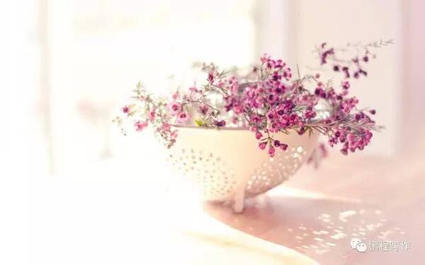 什么样的散文报纸副刊编辑更喜欢?