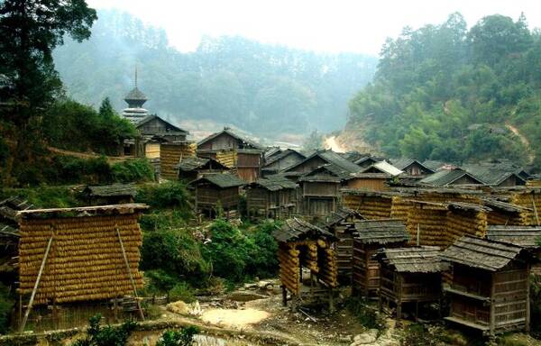 揭秘占里控制胎儿性别的换花草之谜