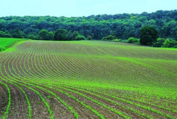 相比浙江的藏富于民,为什么西北农民总是这么