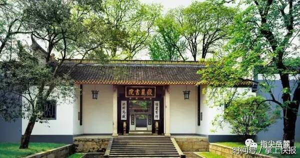 我叫桔子洲,山水洲街、双创福地欢迎你