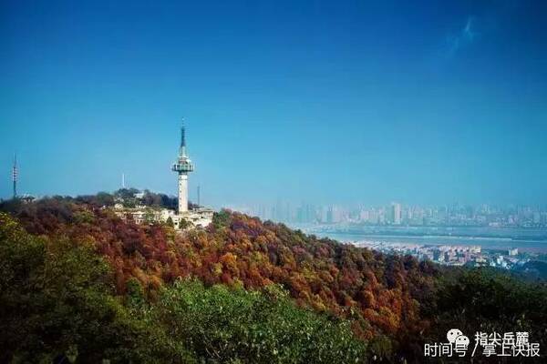 我叫桔子洲,山水洲街、双创福地欢迎你