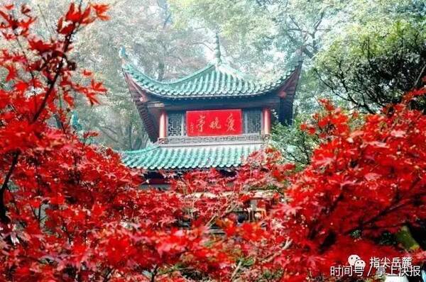 我叫桔子洲,山水洲街、双创福地欢迎你