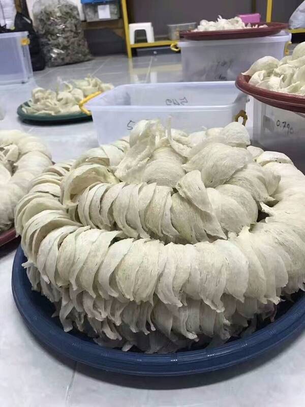 巴厘岛攻略--必带特产及注意事项